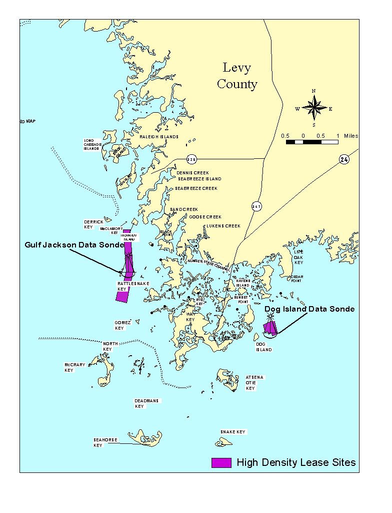 Levy County Sonde Location